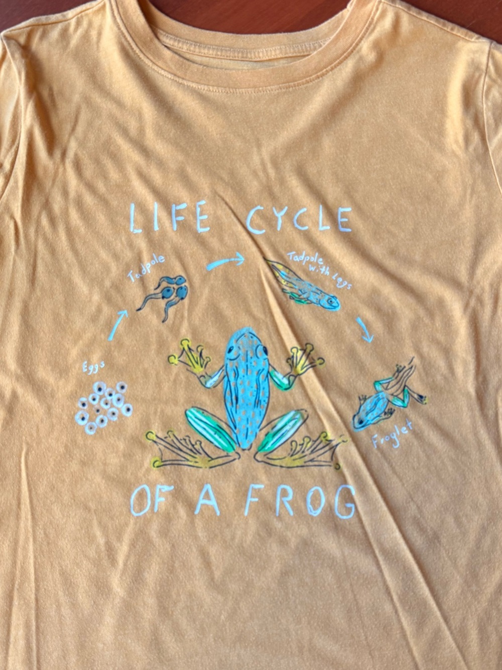 Cat & Jack Mustard Short Sleeve Tee with Frog Life Cycle Graphic